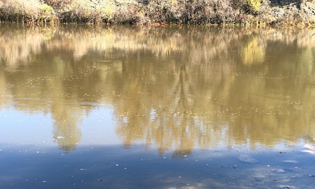 Friends of the River at UC Berkeley