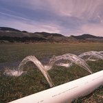 irrigation time thumbnail