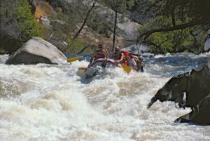 Kern River Lower Seq Forest